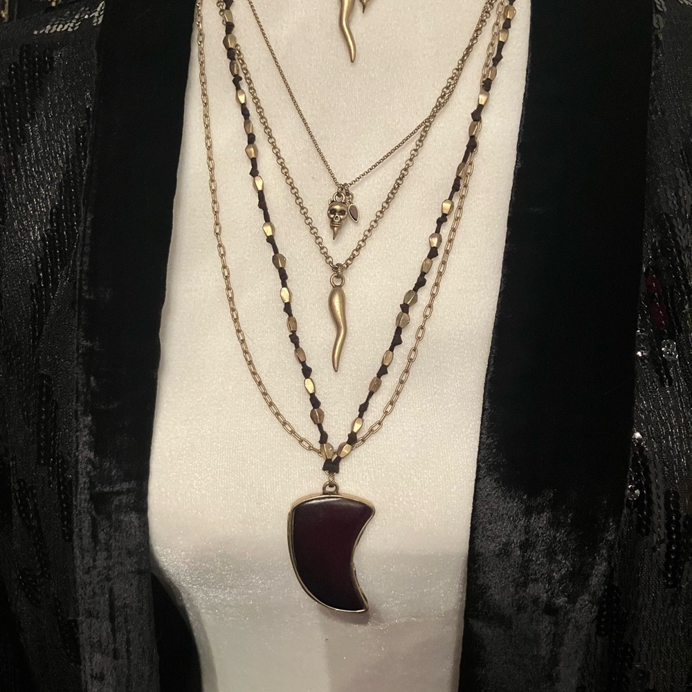Lucky Brand 🍀 Gold and Brown Layered Necklace Set